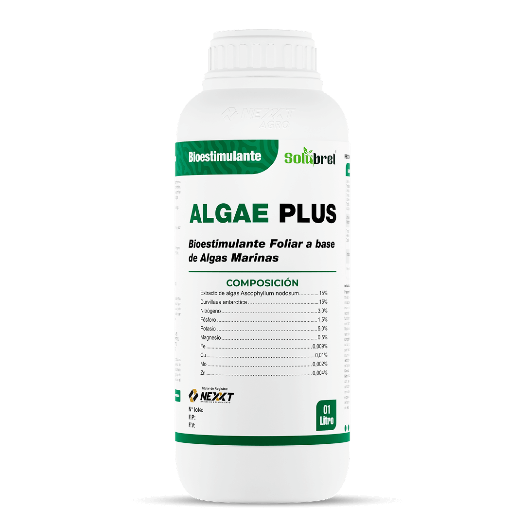 Algae Plus