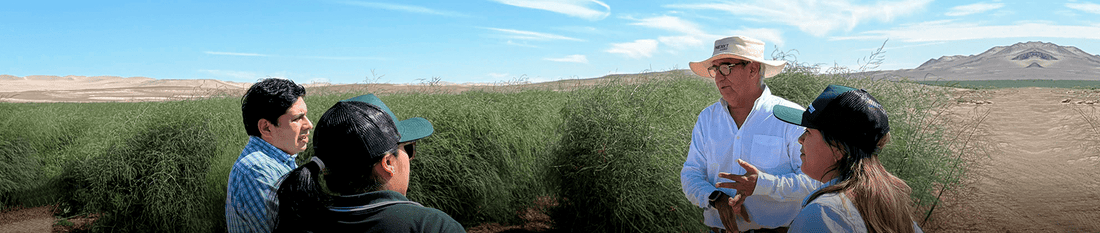 Visita a "Peak Quality" en Ica: fortaleciendo lazos y compartiendo conocimiento - Nexxt Agro