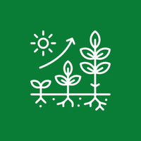 Bioestimulantes