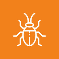 Insecticidas