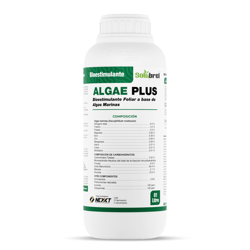 Algae Plus
