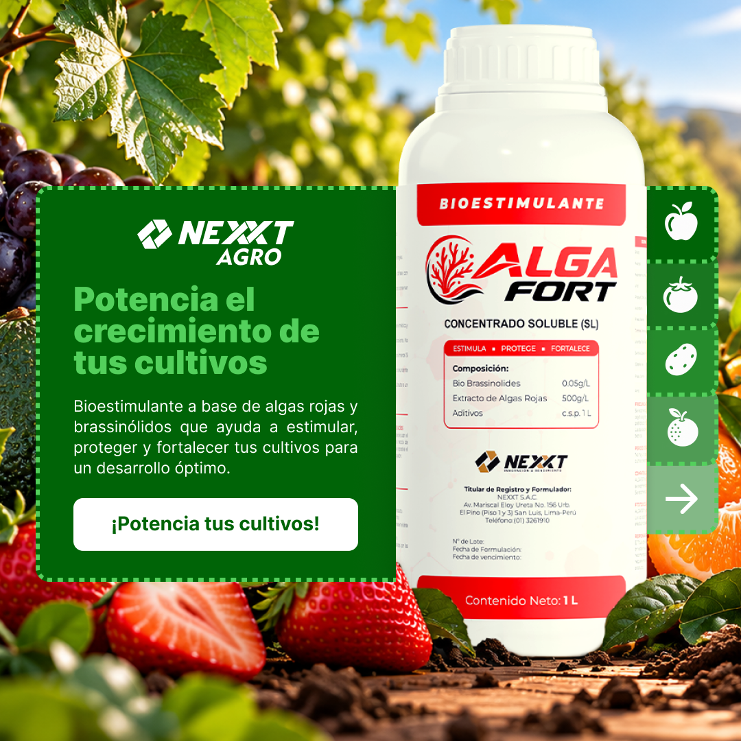 Algafort de Nexxt Agro junto a frutas y hortalizas. Potencia el crecimiento de tus cultivos