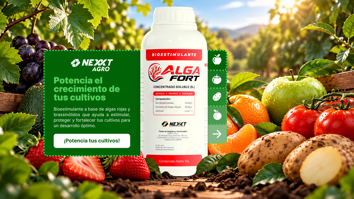 Algafort de Nexxt Agro junto a frutas y hortalizas. Potencia el crecimiento de tus cultivos