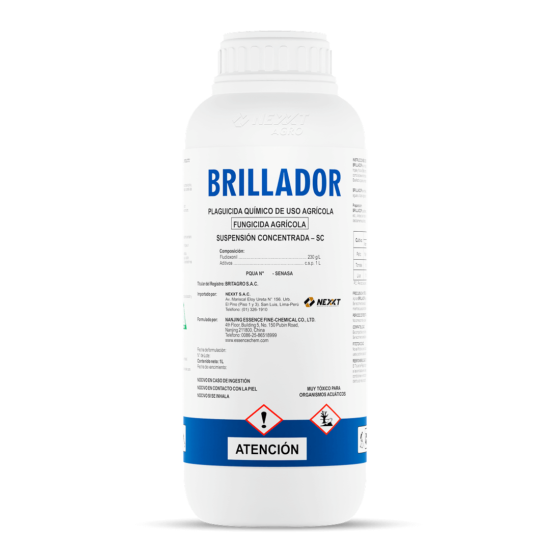 1L