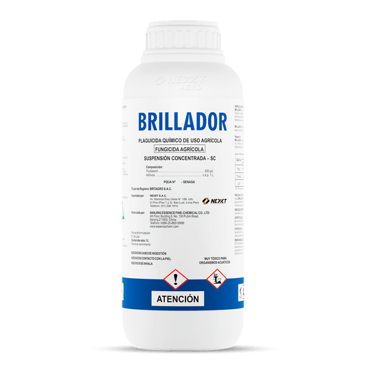 Brillador