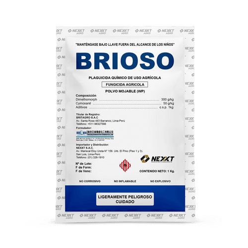 Brioso