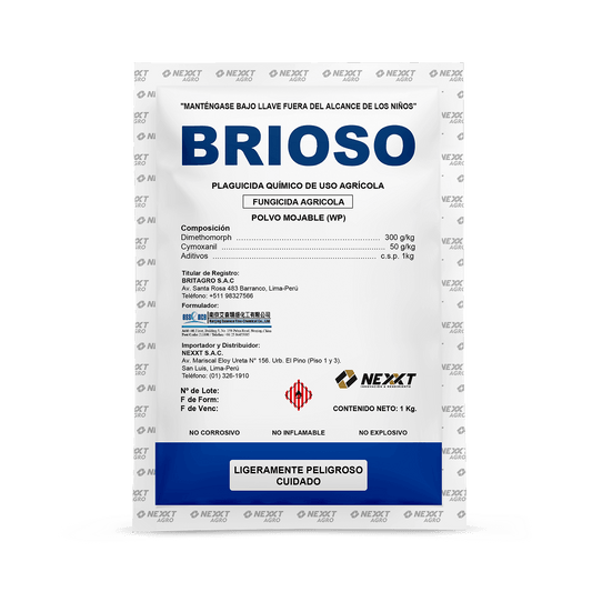 Brioso