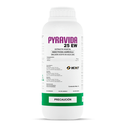 Pyravida 25 EW