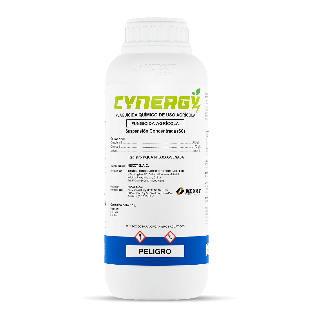 Cynergy