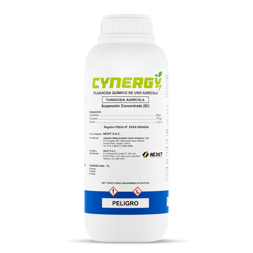 Cynergy