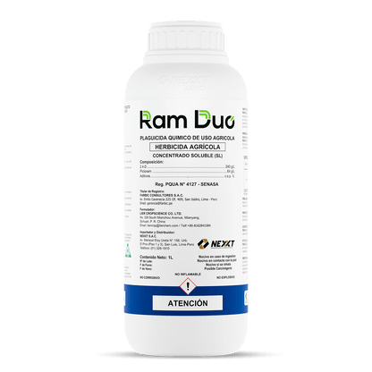 Ram Duo