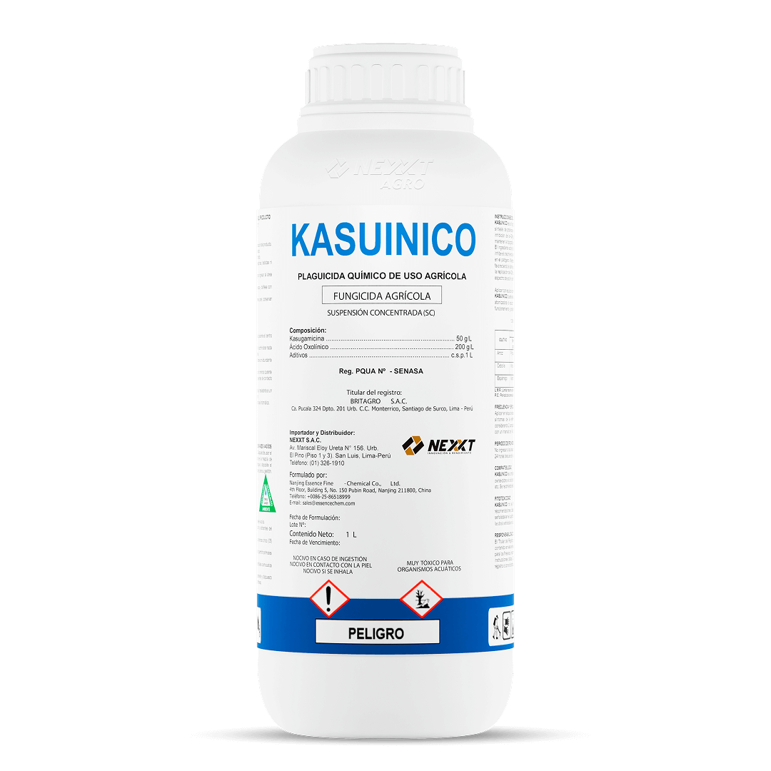Kasuinico