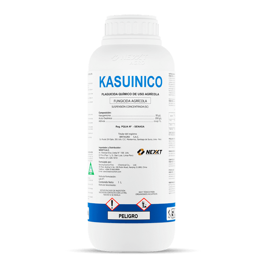 Kasuinico