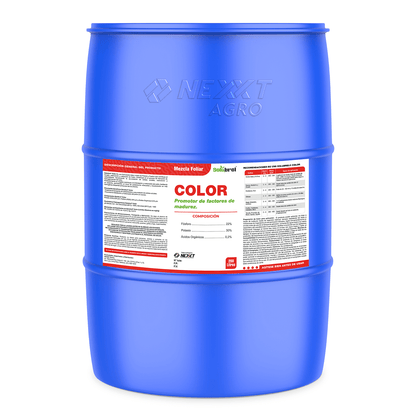 NF Color