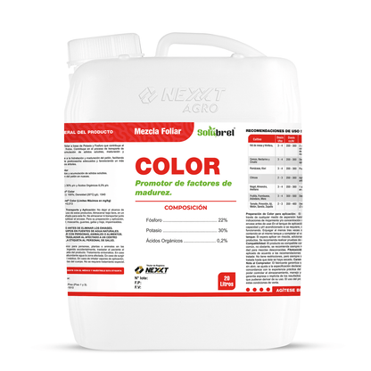 NF Color