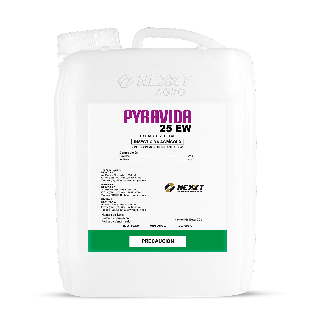 Pyravida 25 EW