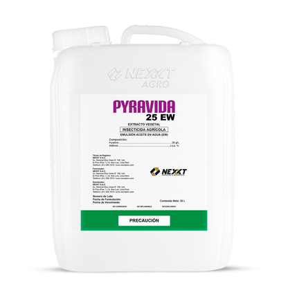 Pyravida 25 EW