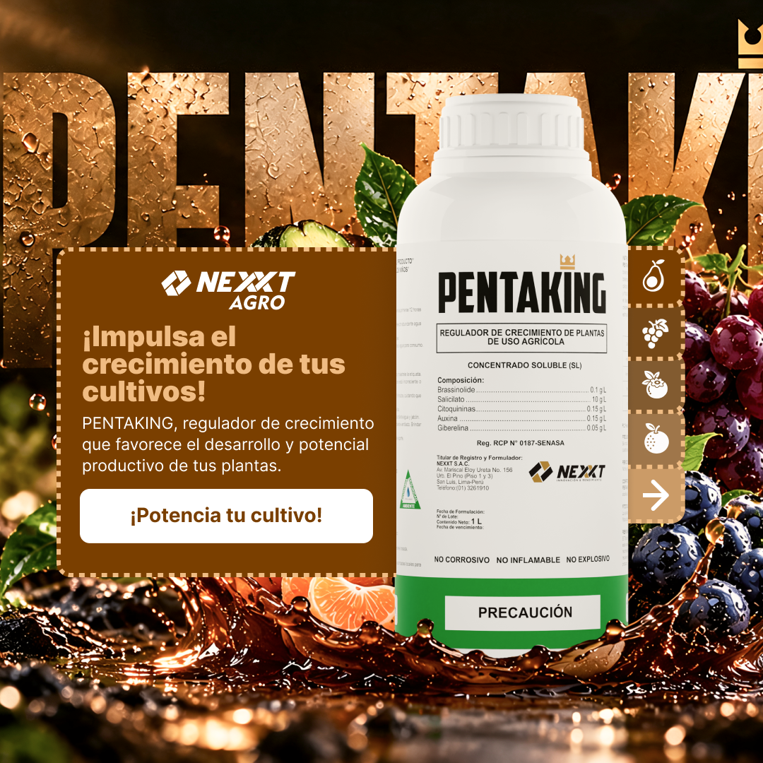 Pentaking de Nexxt Agro rodeado de frutas. Impulsa el crecimiento de tus cultivos