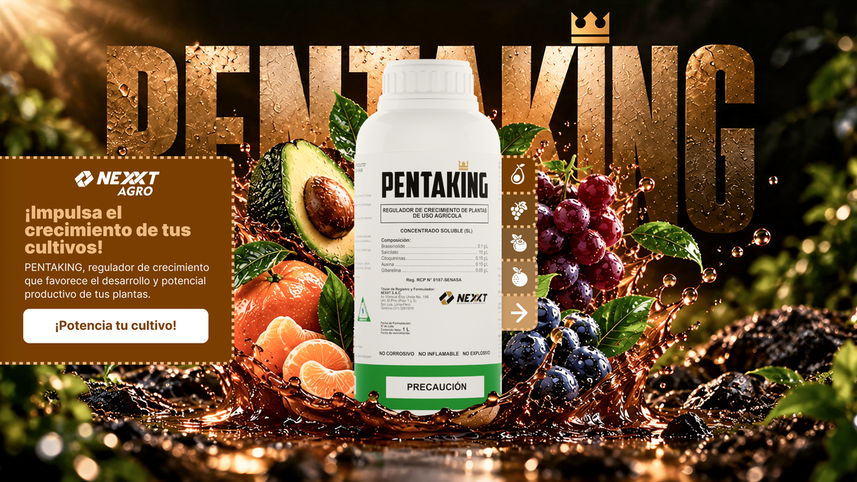 Pentaking de Nexxt Agro rodeado de frutas. Impulsa el crecimiento de tus cultivos