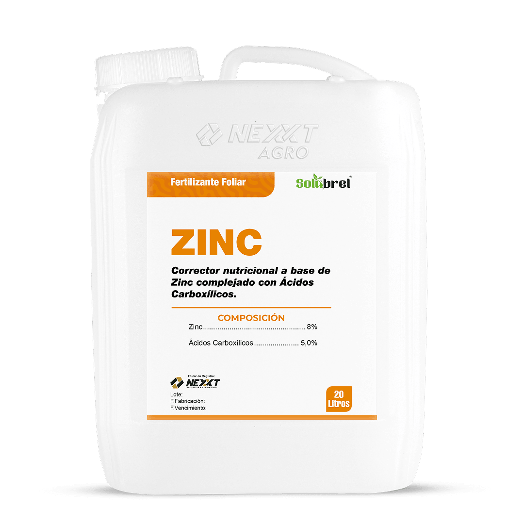 20L