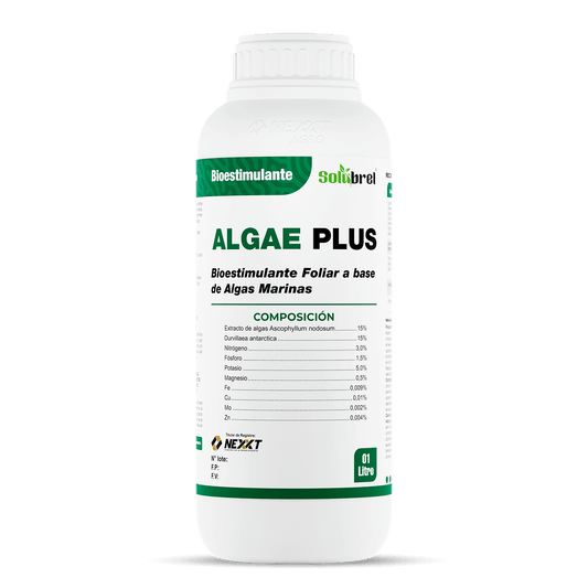 Algae Plus