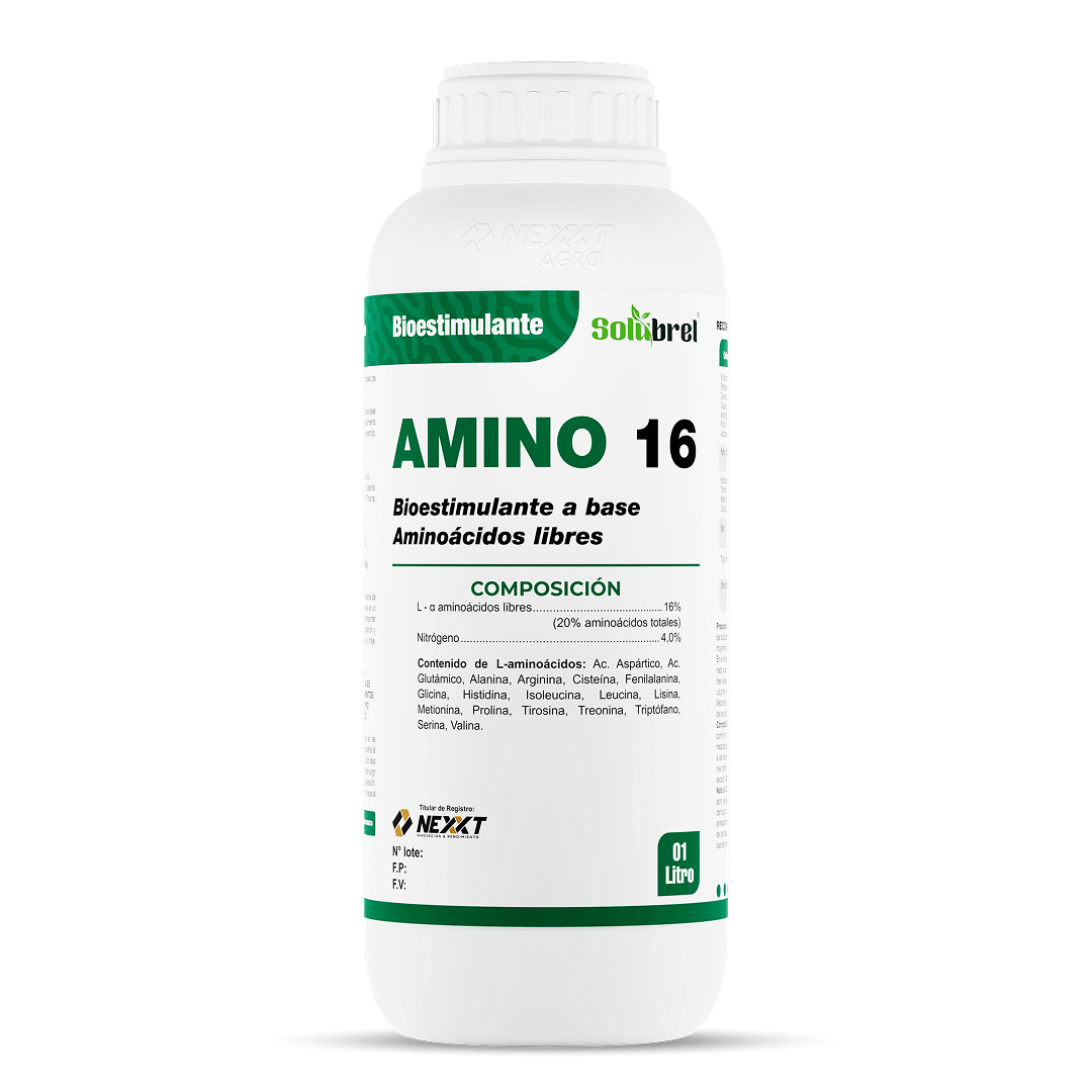 Amino 16