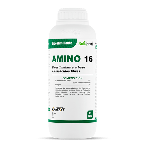Amino 16