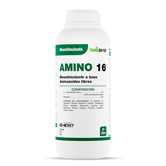 Amino 16