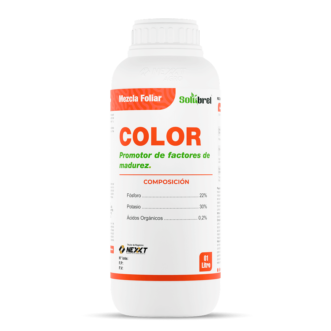 NF Color