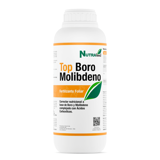 Top Boro Molibdeno - Nexxt Agro